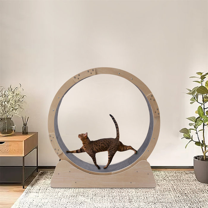 Tucker Murphy Pet™ Cat Exercise Equipment Round Wheel Runway Cat Perch